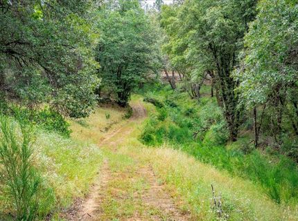 10 Acres Hollow Ln, Greenwood, CA 95635 Photo