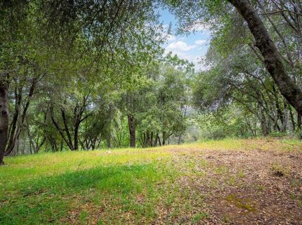 10 Acres Hollow Ln, Greenwood, CA 95635 Photo