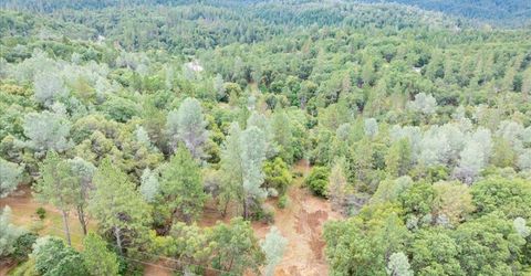 10 Acres Hollow Ln, Greenwood, CA 95635 Photo