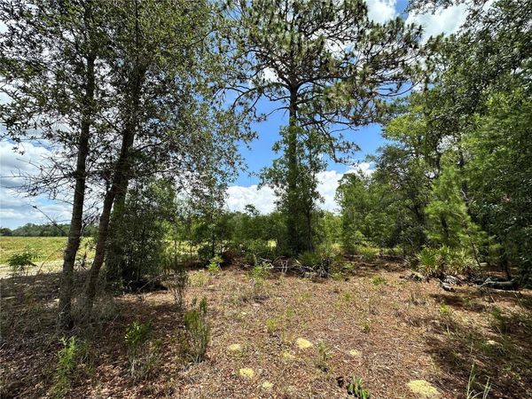 TBD NE 69TH PLACE, BRONSON, FL 32621