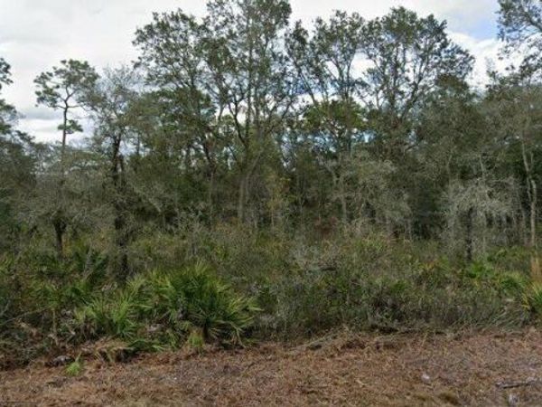 35023 PRIMROSE LANE , WEBSTER, FL 33597