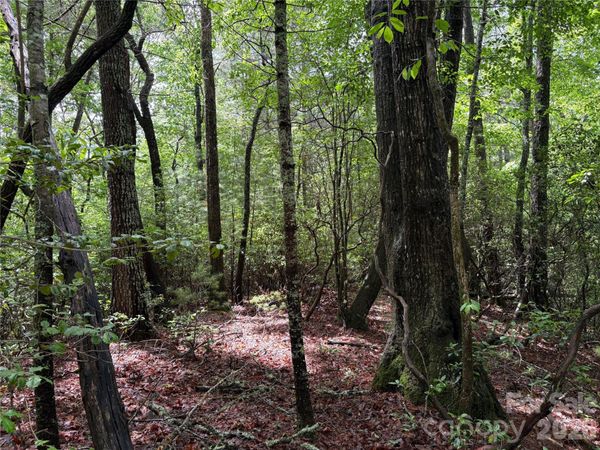 197 Fox Hollow Circle , Otto, NC 28763