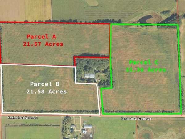 Forster Rd Forster Road NE, Carlos, MN 56319