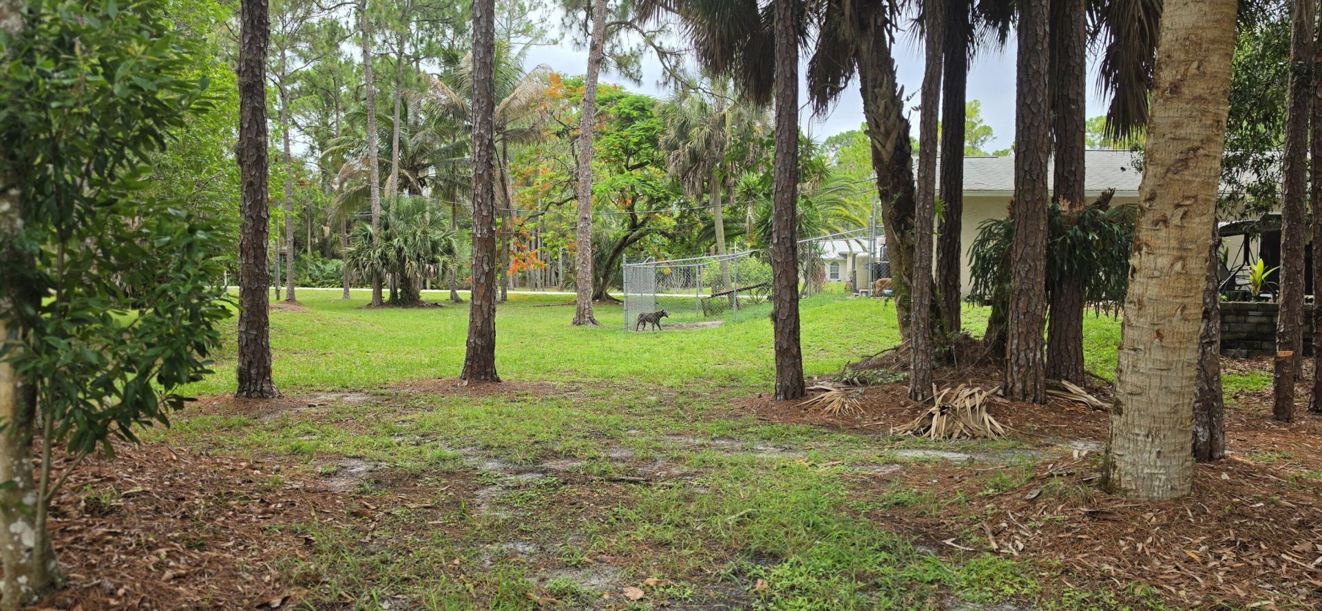 15779 77th Place N, Loxahatchee, FL 33470 Photo