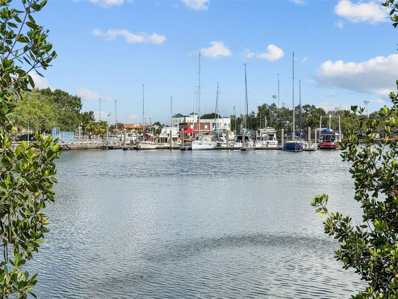 91 Davis Boulevard , Unit 204, Tampa, FL 33606 Photo