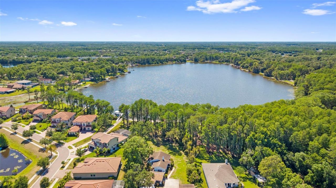 5134 Lakecastle Drive, Tampa, FL 33624 Photo