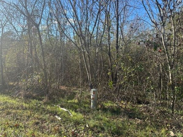 0 Mt Carmel Road , Decatur, TN 37322