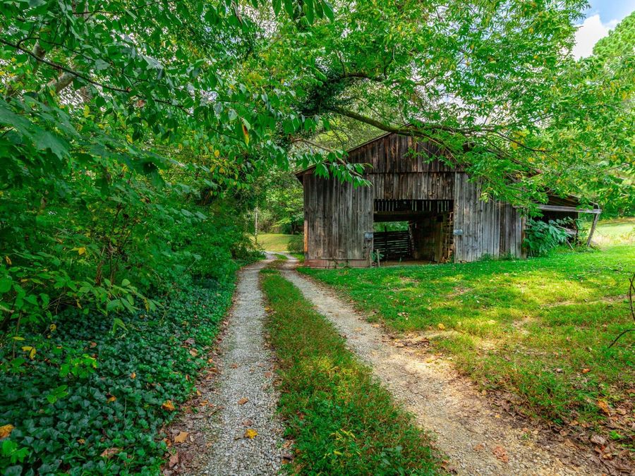 Property Image 48