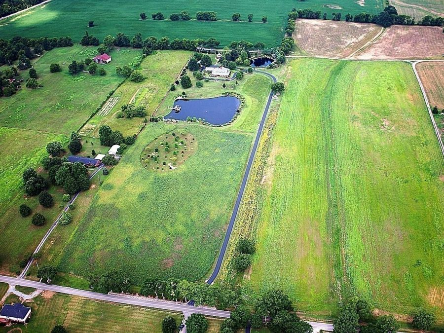 Property Image 60