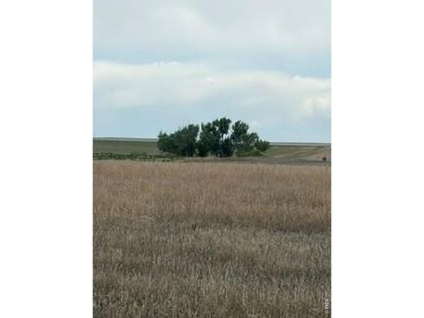Peoria Crossing Rd, Wiggins, CO 80654