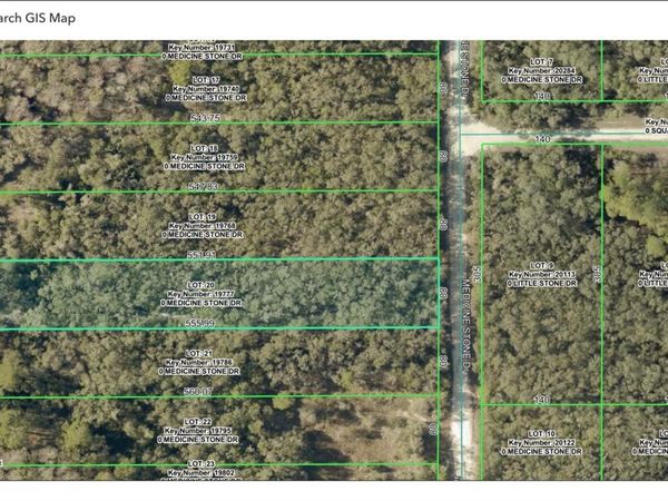 10690 HENNESSEY AVENUE , HASTINGS, FL 32145