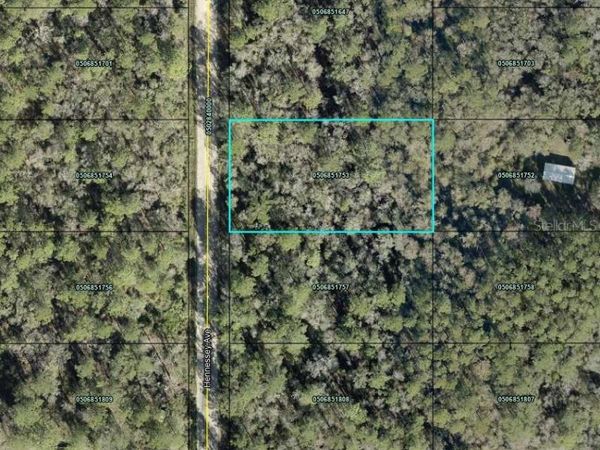 10690 HENNESSEY AVENUE , HASTINGS, FL 32145