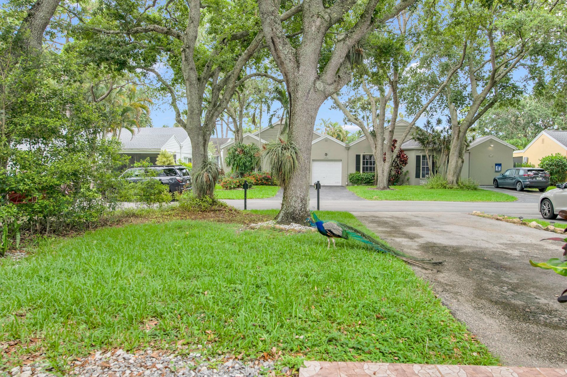7705 Forest Green Lane, Boynton Beach, FL 33436 Photo