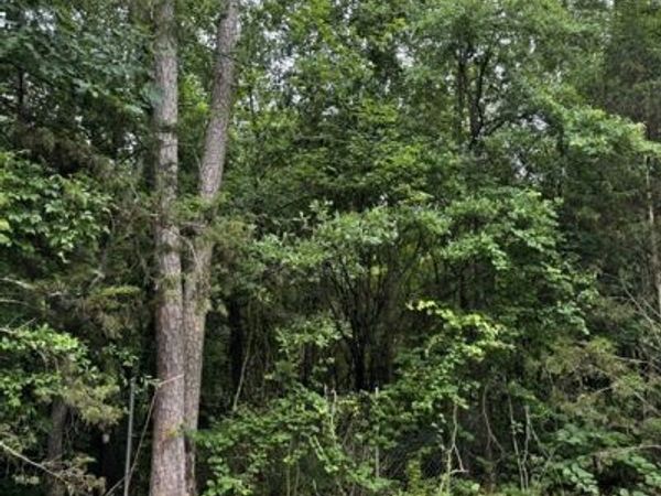 00 Lewis Lot 17 Drive, Lavonia, GA 30553