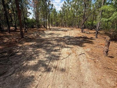 350 Payne Pond Road , Unit PPF 11, Westville, SC 29175