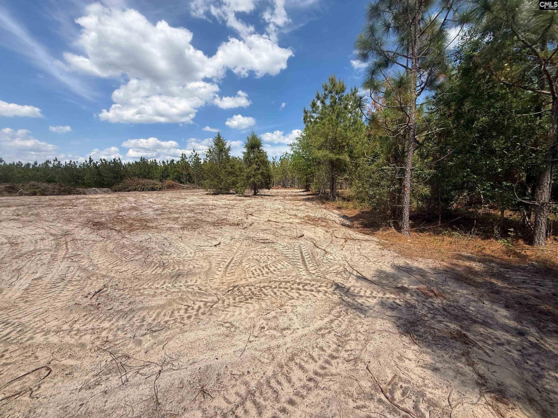 350 Payne Pond Road  Photo 11