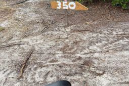 350 Payne Pond Road  photo 4