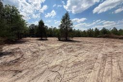 350 Payne Pond Road  photo 4