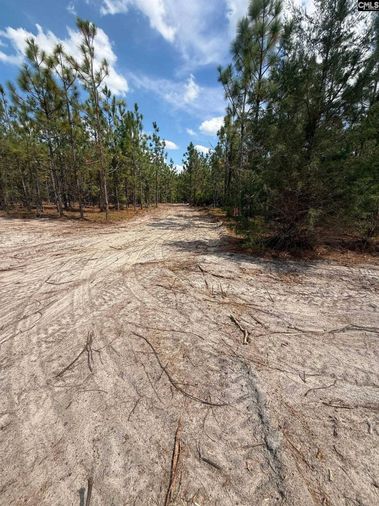 350 Payne Pond Road  Photo 9