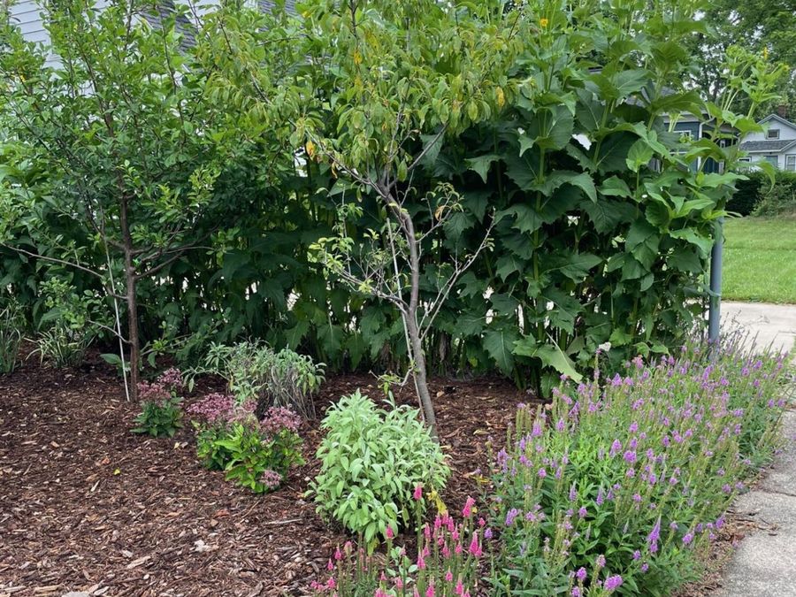 Property Image 36