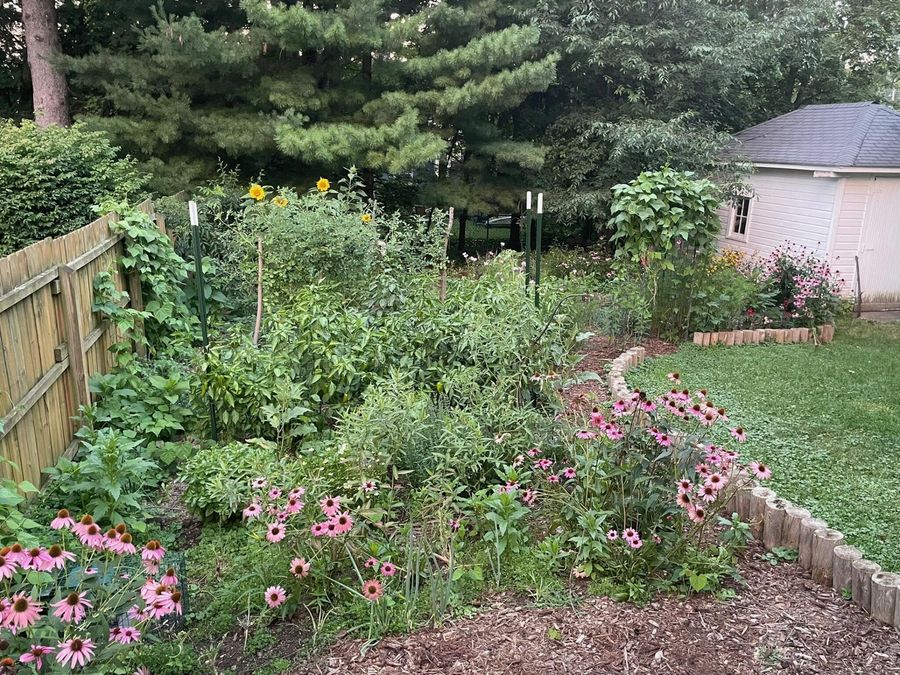 Property Image 42