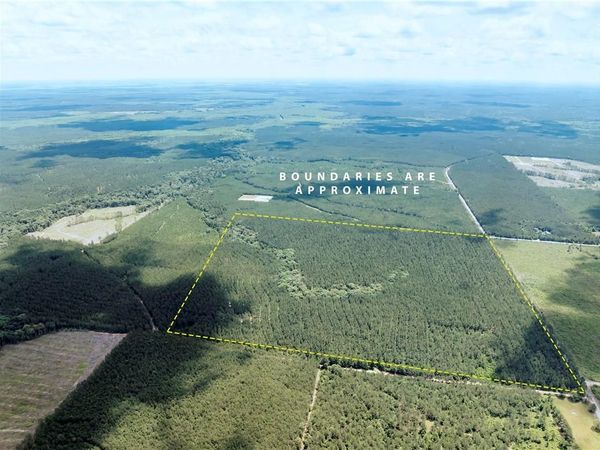 TBD N-A, Glenmora, LA 71433
