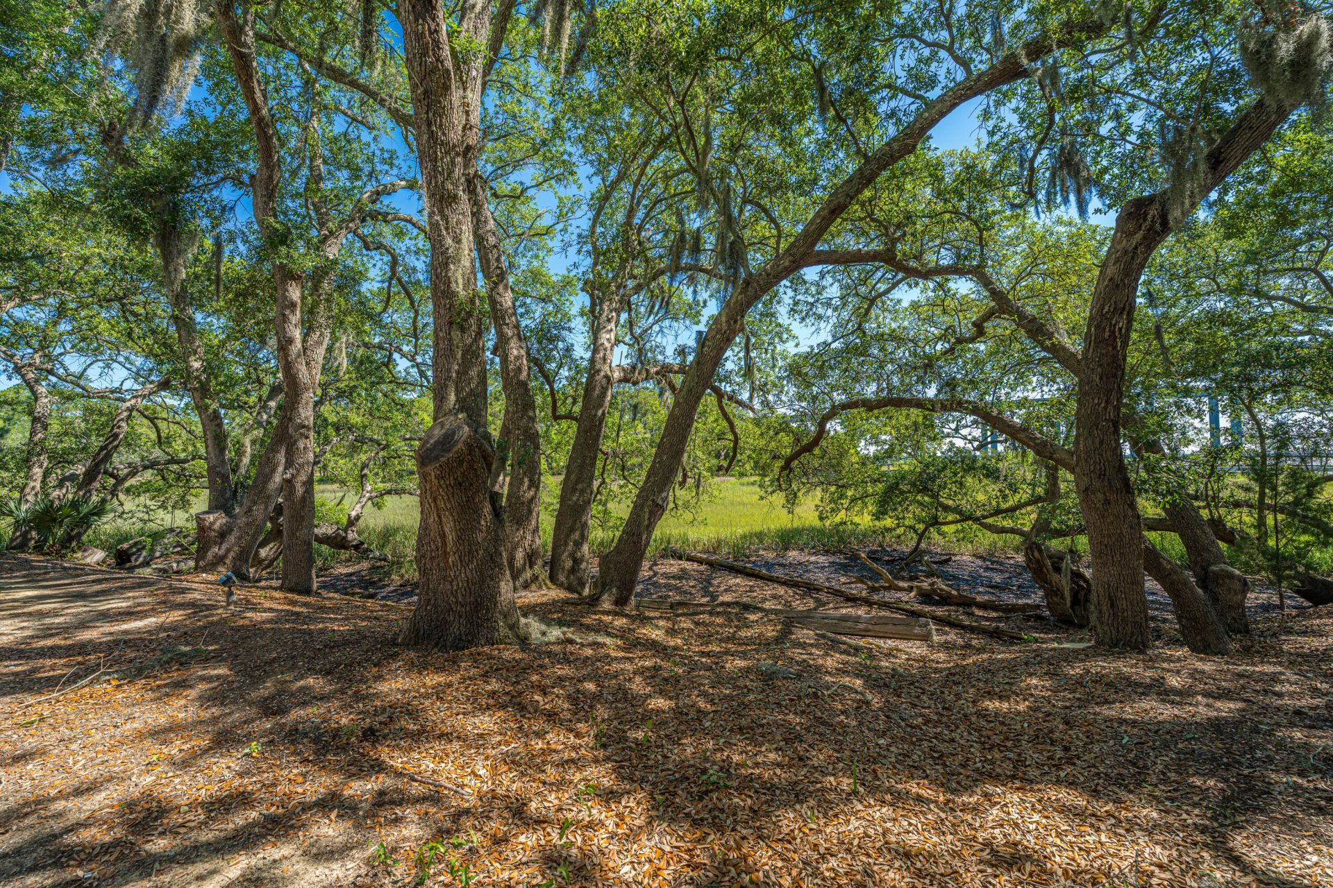 130 River Landing Drive Photo 16