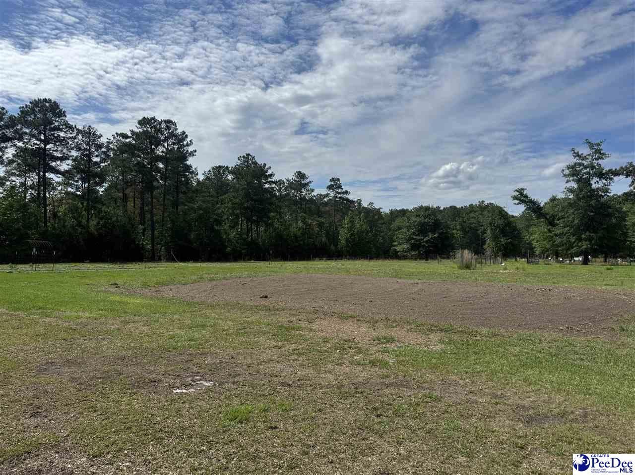 2885 Old Ridge Rd Photo 39