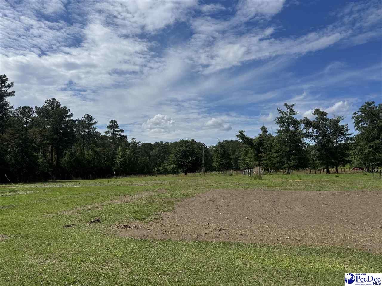 2885 Old Ridge Rd Photo 41