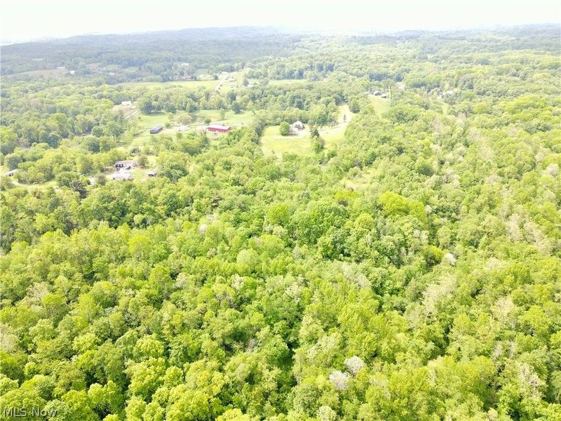 49222 Taylor Road, Negley, OH 44441 Photo 14