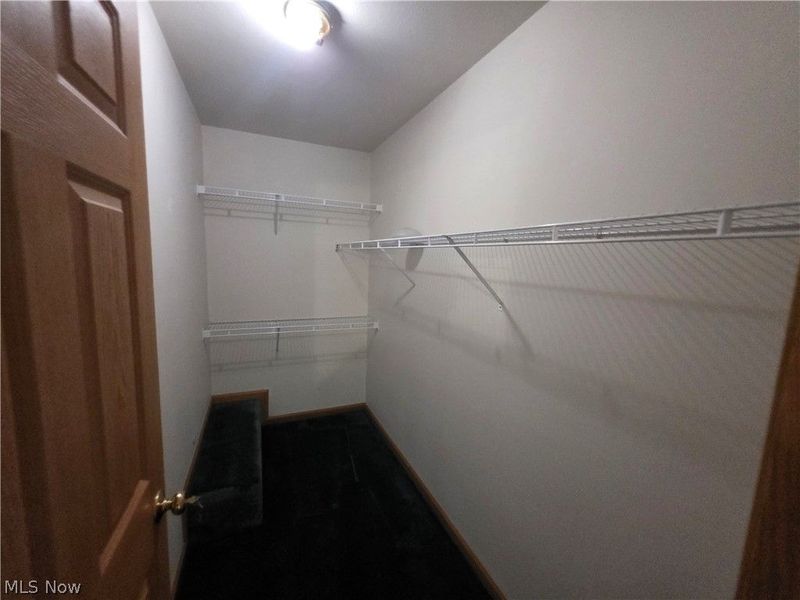 49222 Taylor Road, Negley, OH 44441 Photo 24