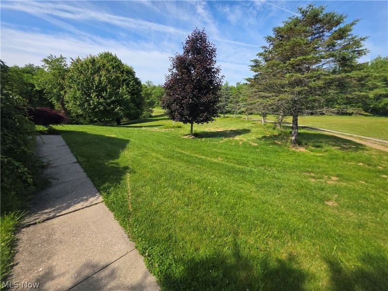 49222 Taylor Road, Negley, OH 44441 Photo 49