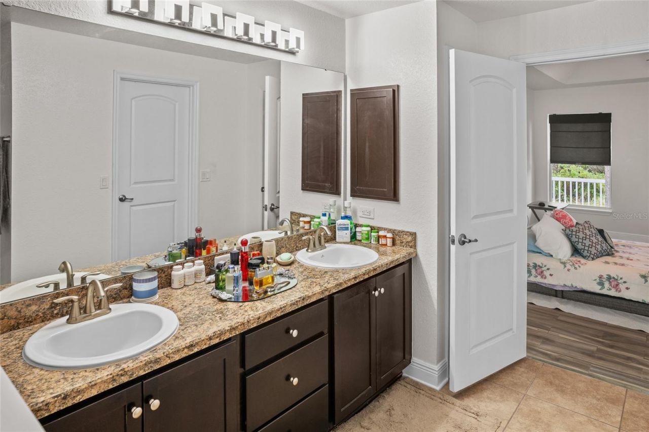 9645 Jaybird Lane, Land O Lakes, FL 34638 Photo