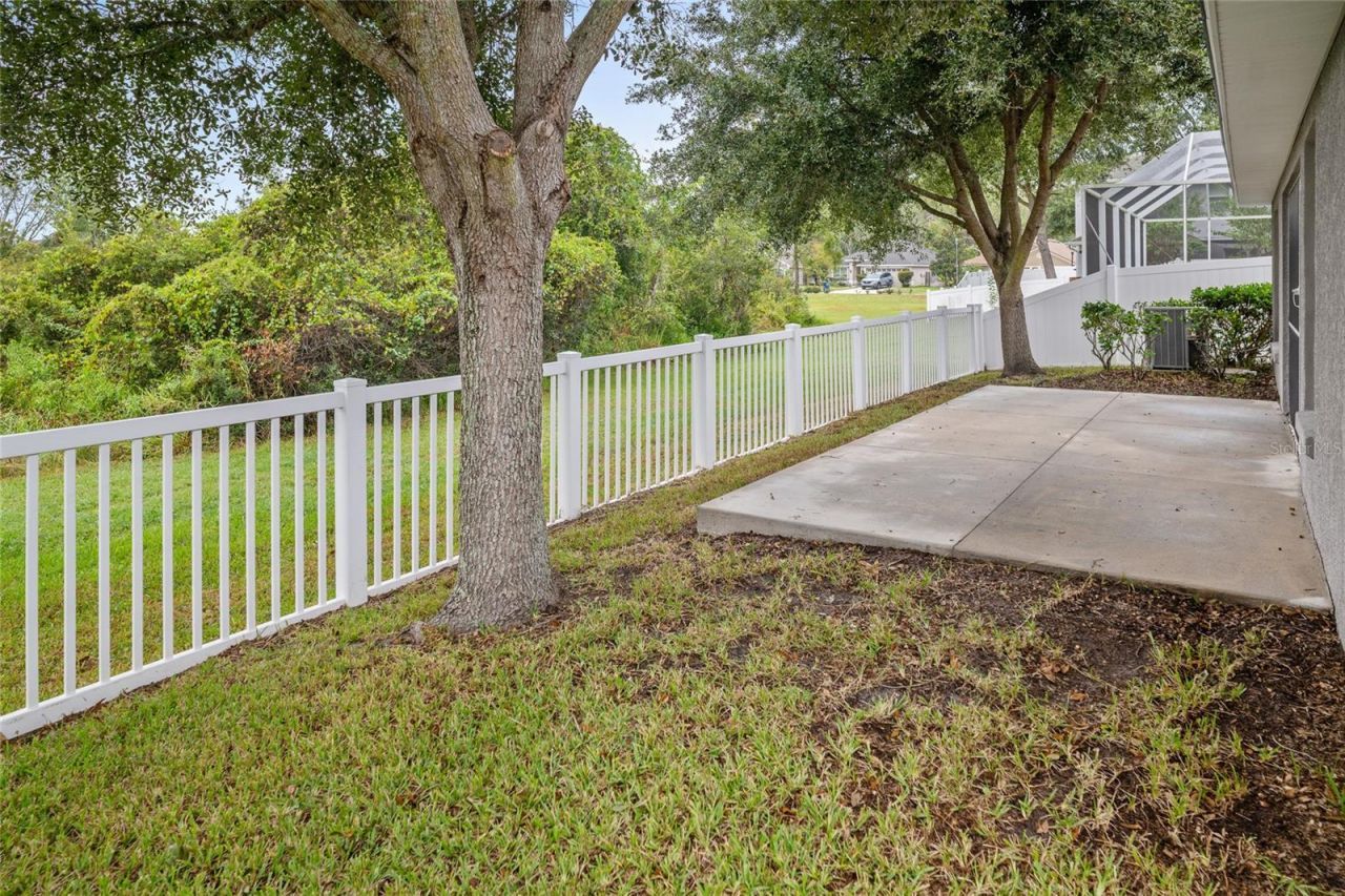9645 Jaybird Lane, Land O Lakes, FL 34638 Photo