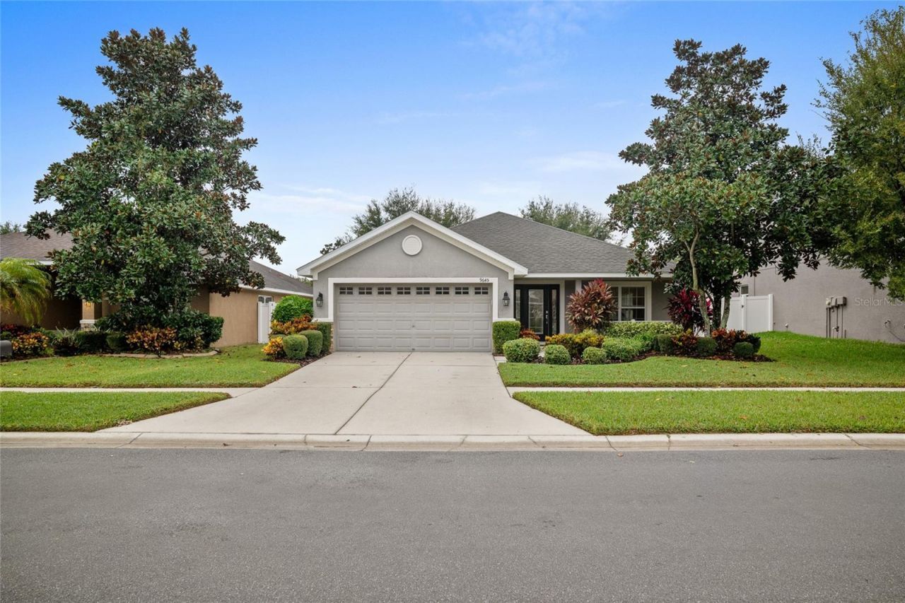 9645 Jaybird Lane, Land O Lakes, FL 34638 Photo