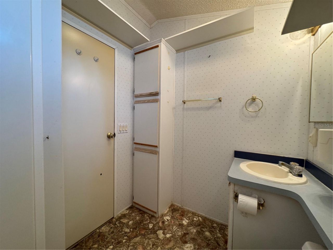 35151 Danny Drive , Unit Lot 114, Zephyrhills, FL 33541 Photo