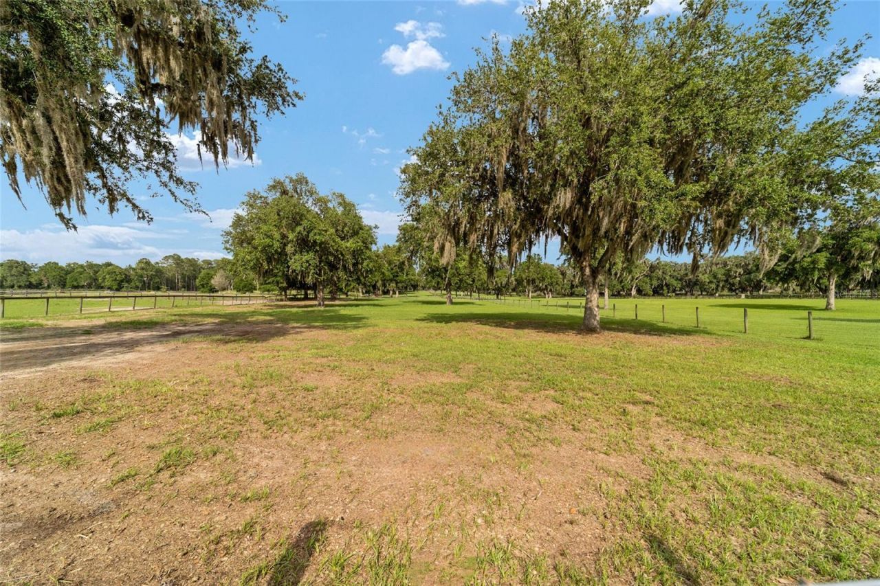 2035 NW 150th Avenue, Ocala, FL 34482 Photo