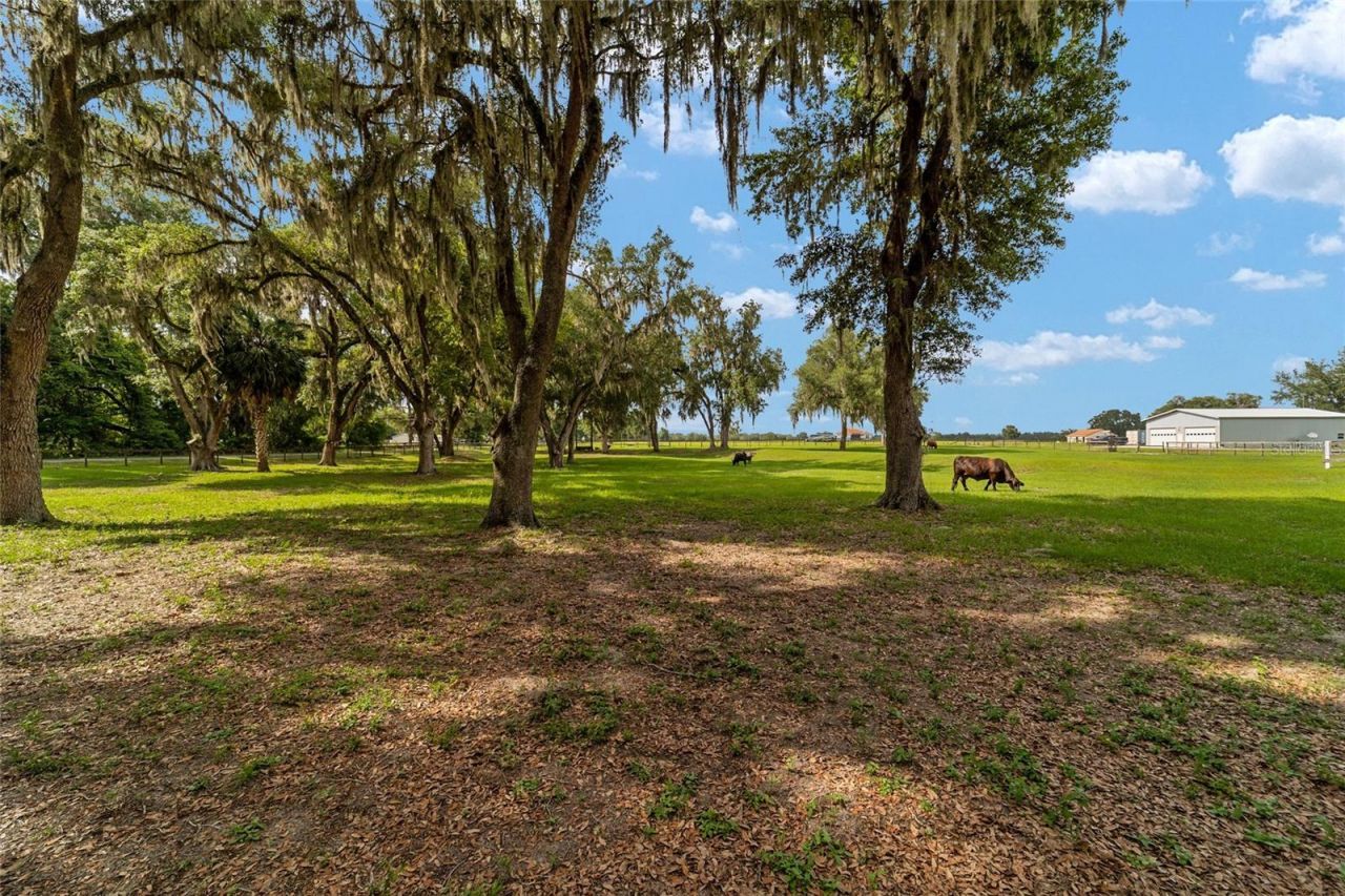 2035 NW 150th Avenue, Ocala, FL 34482 Photo