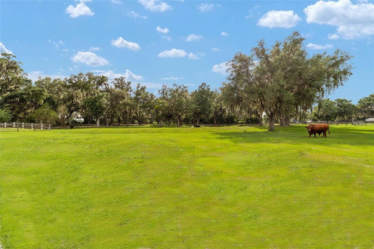 2035 NW 150th Avenue, Ocala, FL 34482 Photo