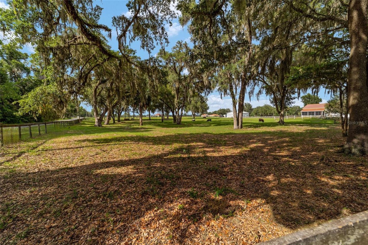 2035 NW 150th Avenue, Ocala, FL 34482 Photo