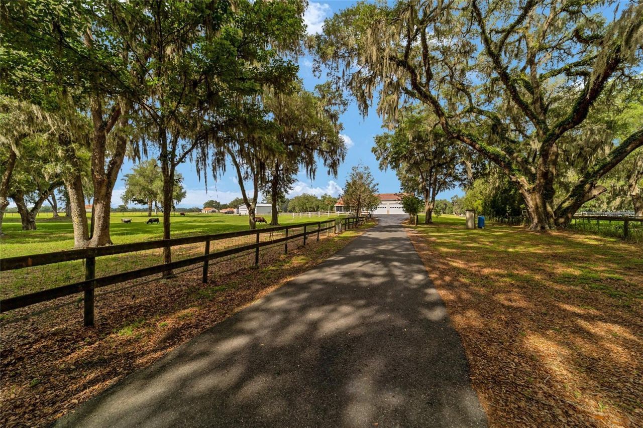 2035 NW 150th Avenue, Ocala, FL 34482 Photo