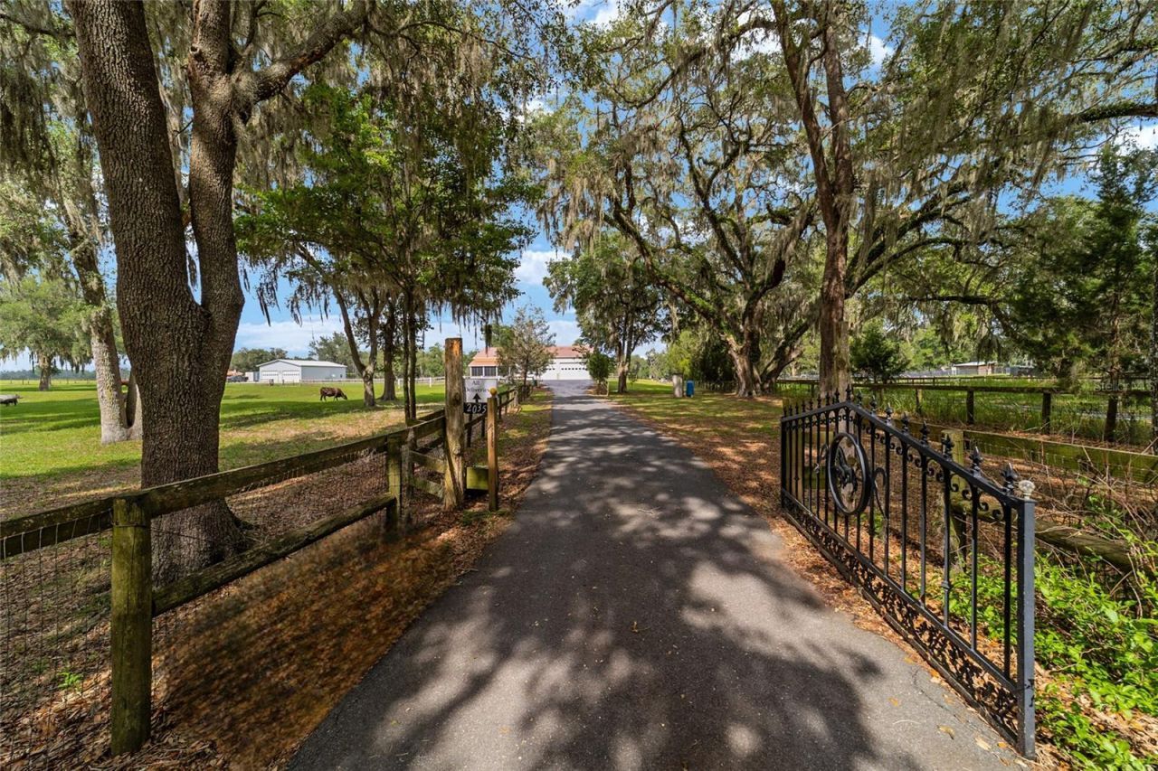 2035 NW 150th Avenue, Ocala, FL 34482 Photo