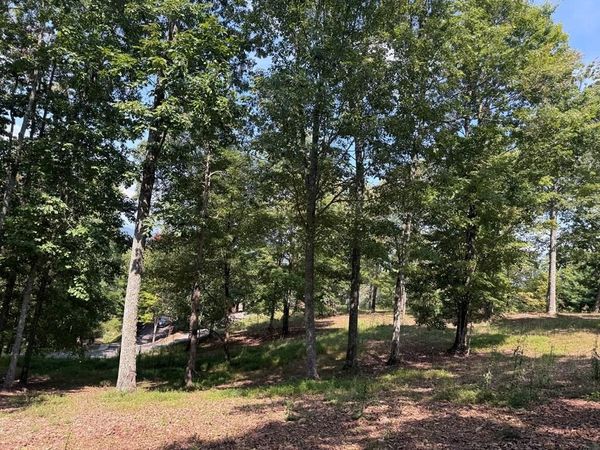 0 Madison Lane , Brasstown, NC 28902