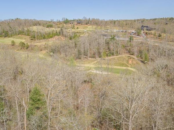 153 Hickory Way, Mineral Bluff, GA 30559