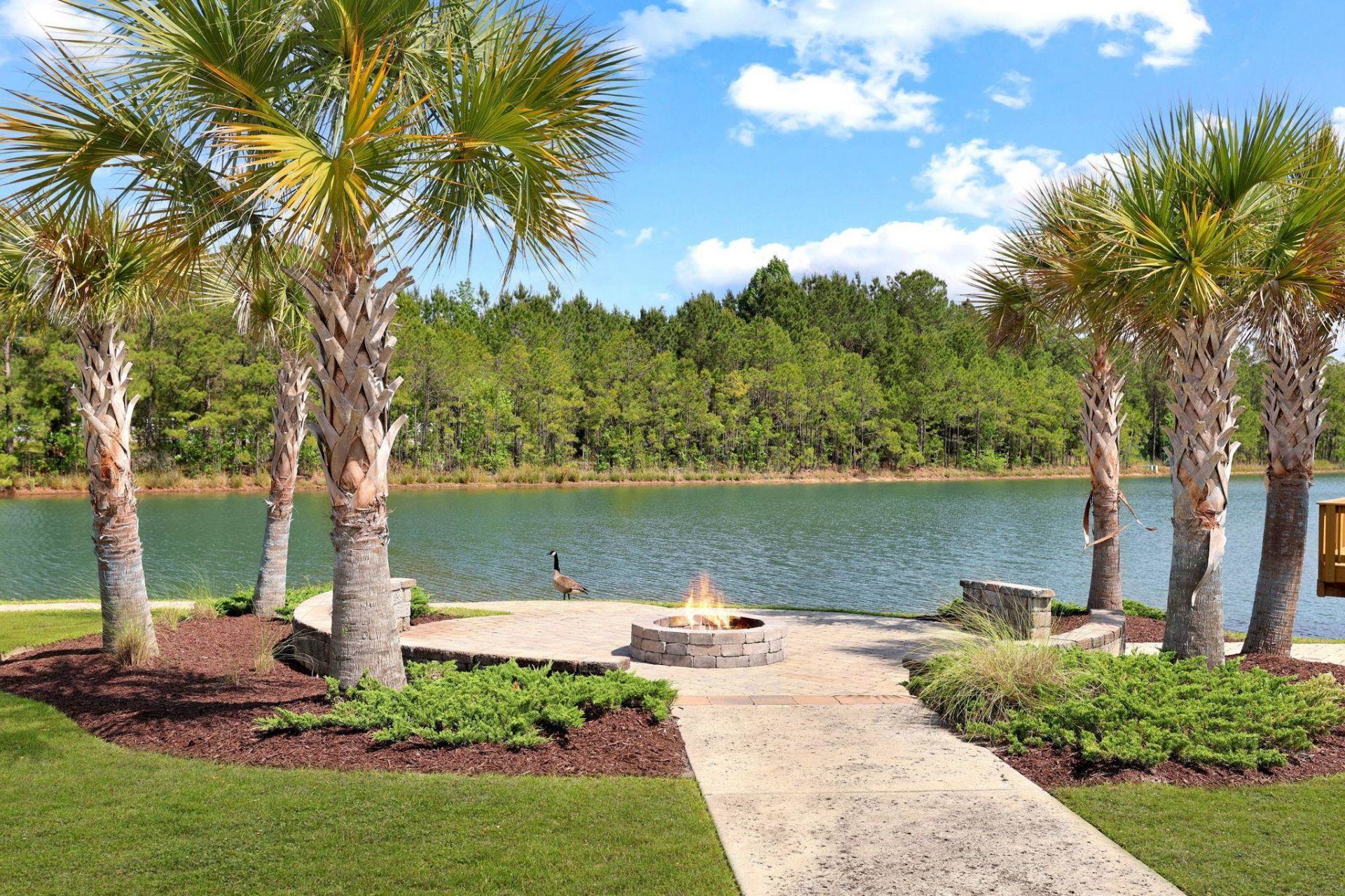 2139 Spring Tree Dr.  Photo 43