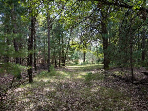 Lot 4 Meadow Drive, New Lisbon, WI 53950