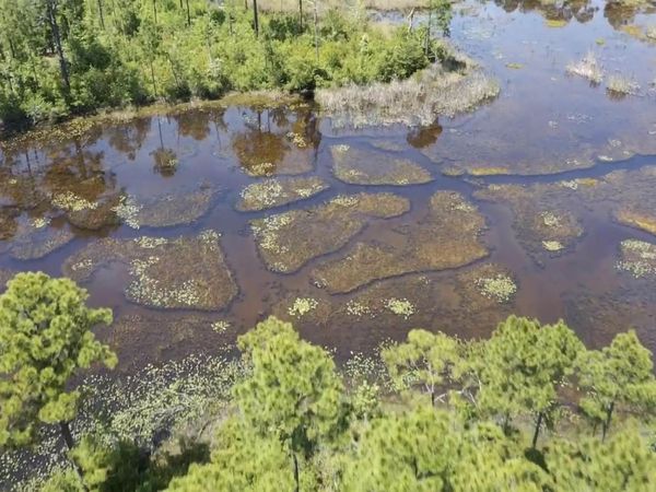 Lot 57 Tidal Bay Dr, Milton, FL 32583