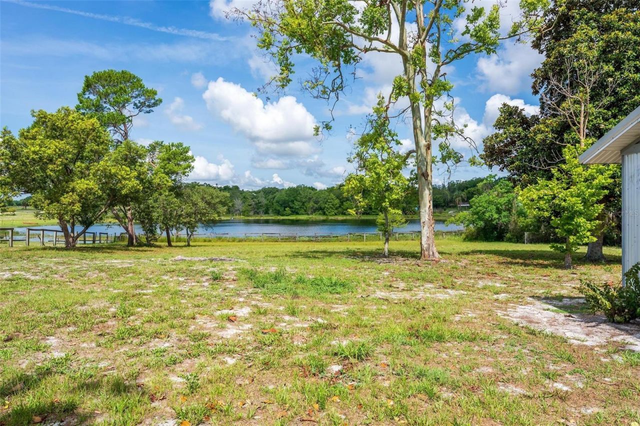 3480 Ondich Road , Apopka, FL 32712 Photo