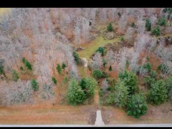 V/L 64.97 N M-65 Highway, Curran, MI 48728