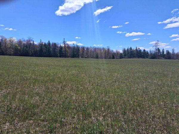 V/L 64.97 N M-65 Highway, Curran, MI 48728